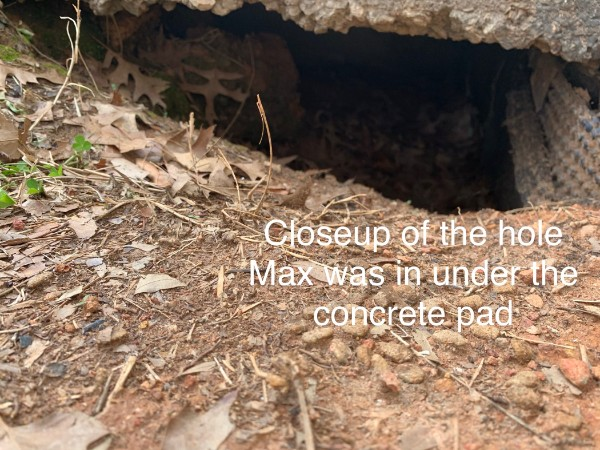 The opening beneath the concrete slab where Max was found